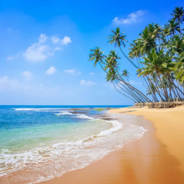 Sri Lanka - Die Perle des Indischen Ozeans