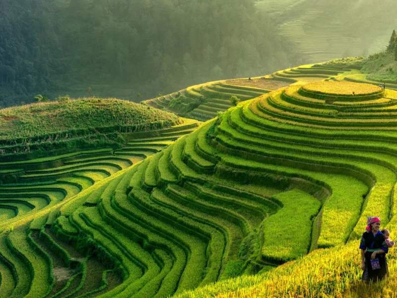 Vietnam – Höhepunkte der Perle Südostasiens