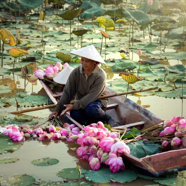Vietnam – Höhepunkte der Perle Südostasiens