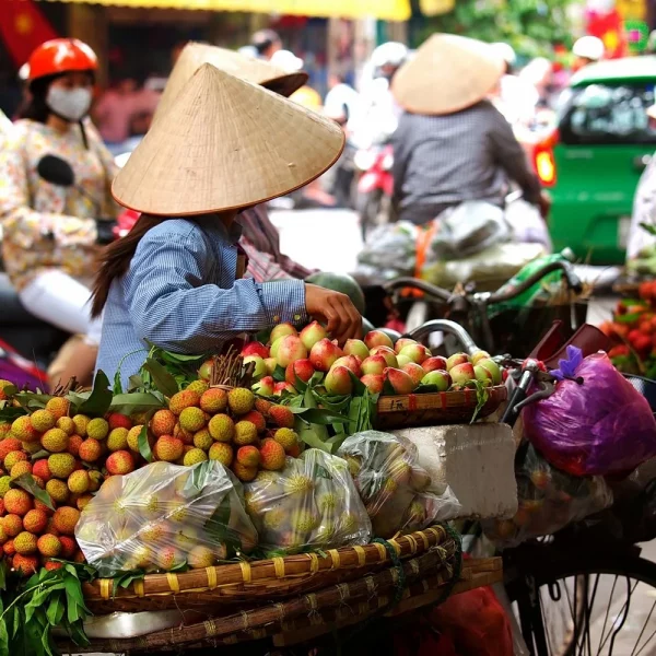 Vietnam – Höhepunkte der Perle Südostasiens