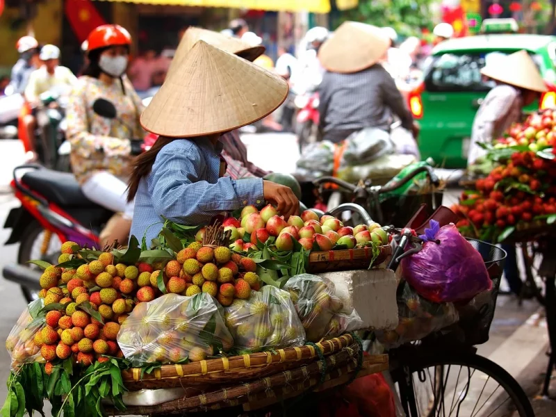 Vietnam – Höhepunkte der Perle Südostasiens