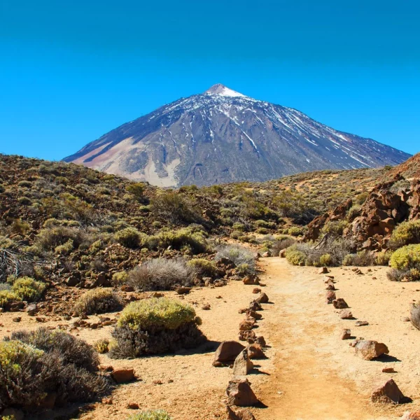 Naturerlebnisse und Gärten auf Teneriffa