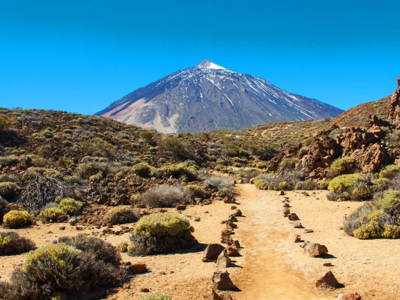 Naturerlebnisse und Gärten auf Teneriffa