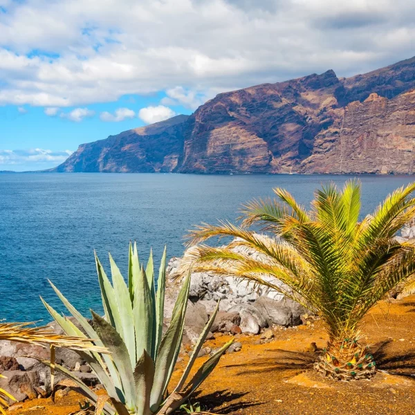 Naturerlebnisse und Gärten auf Teneriffa