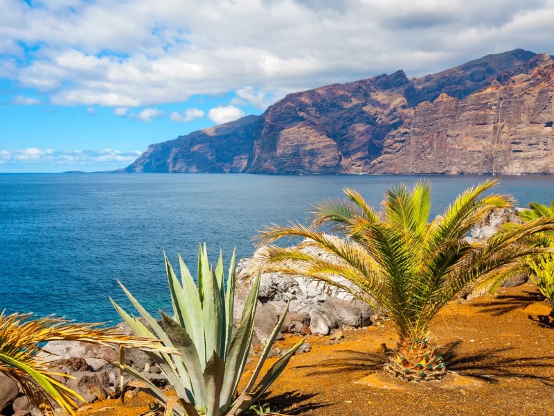 Naturerlebnisse und Gärten auf Teneriffa