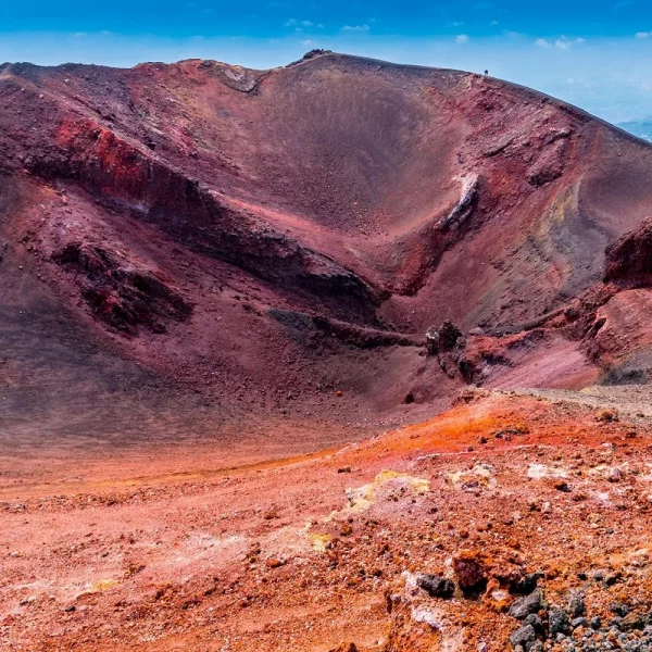 Naturerlebnisse und Gärten auf Teneriffa