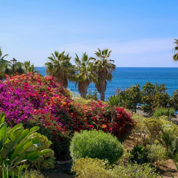 Naturerlebnisse und Gärten auf Teneriffa