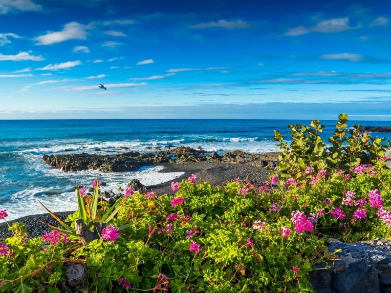 Naturerlebnisse und Gärten auf Teneriffa