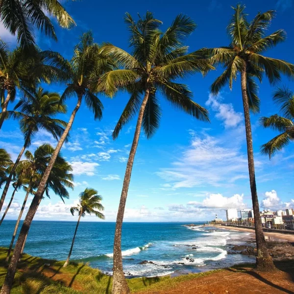Brasilien: Land der Kontraste: Salvador de Bahia
