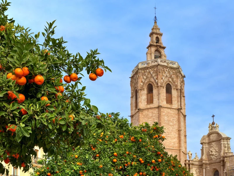 Frühling an der Costa Blanca: Catedral de Santa María in Valencia