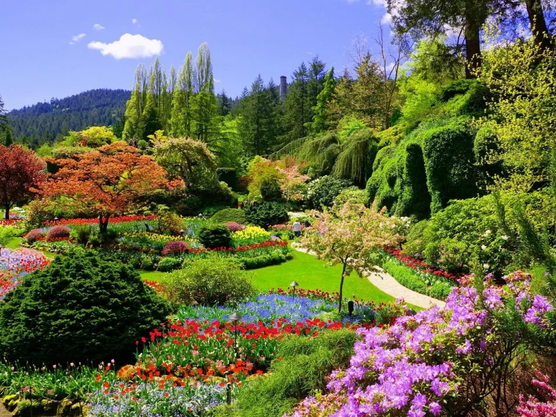 Kanadas wunderbarer Westen - Butchart Gardens