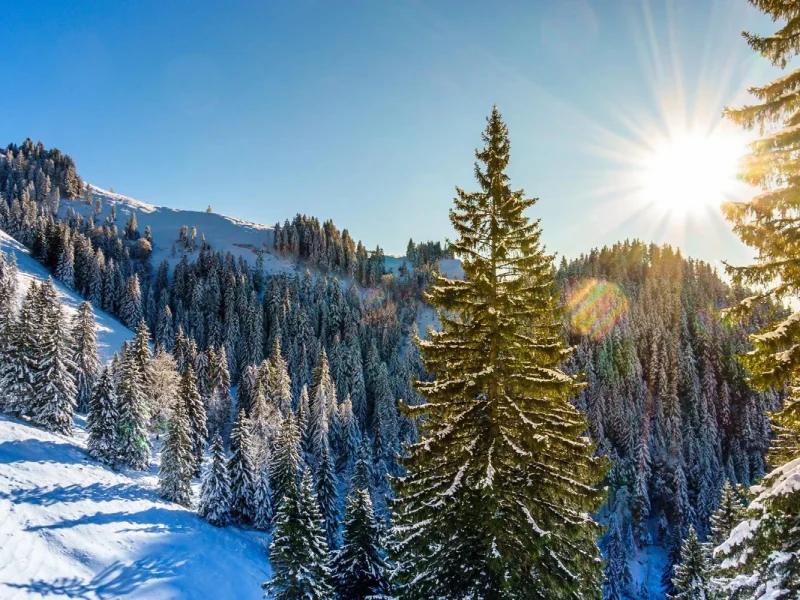 Busreise Bayerischer Winterzauber im Advent