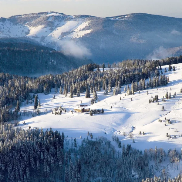 Busreise Schwarzwald im Advent - Winterliche Schwarzwald-Rundfahrt © A. Mende_STG