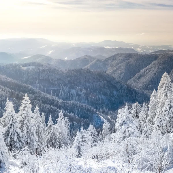 Busreise Schwarzwald im Advent - Winterliche Schwarzwald-Rundfahrt © pure-life-pictures - Fotolia