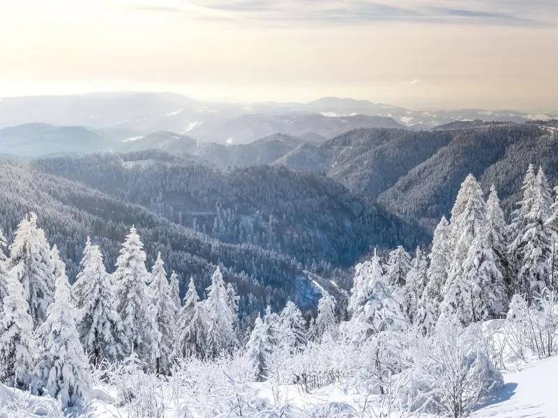 Busreise Schwarzwald im Advent - Winterliche Schwarzwald-Rundfahrt © pure-life-pictures - Fotolia