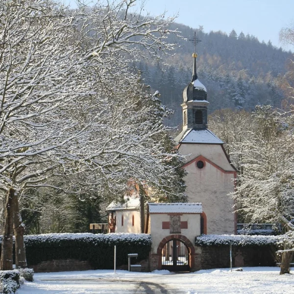 Busreise Weihnachtszauber im Spessart