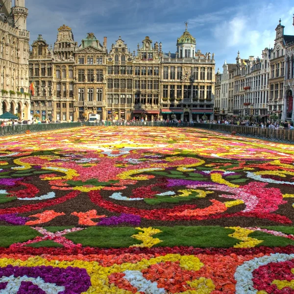 Busreise Brüssler Blumenteppich