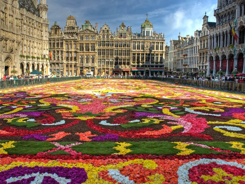 Busreise Brüssler Blumenteppich