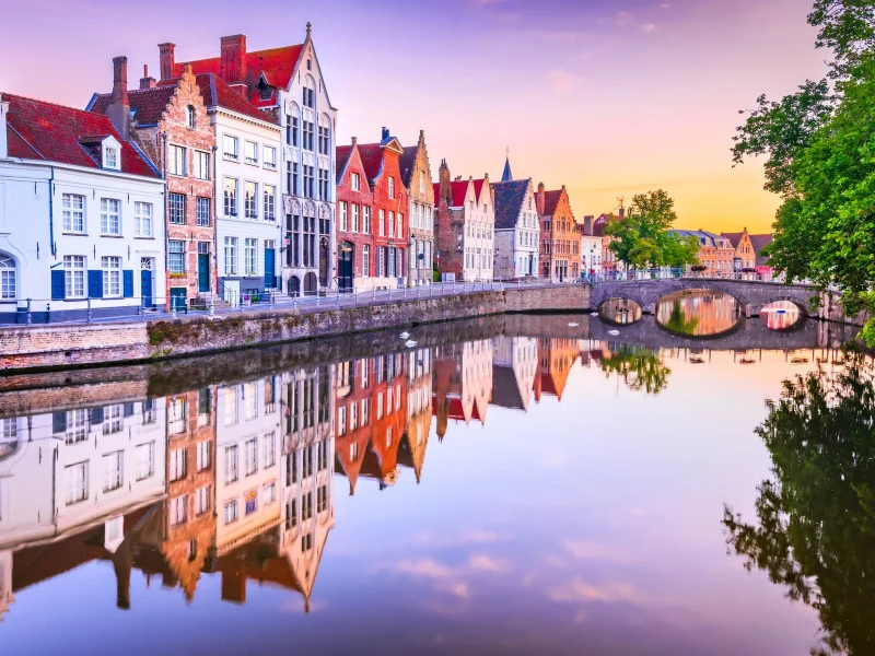 Busreise Brüssler Blumenteppich