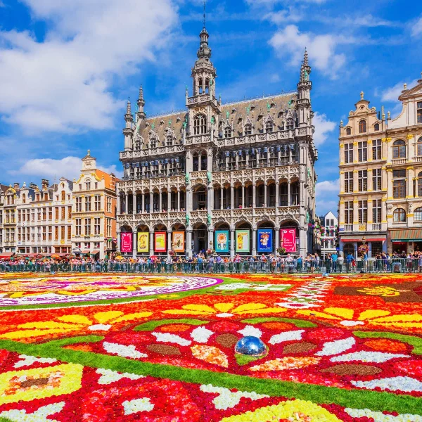 Busreise Brüssler Blumenteppich