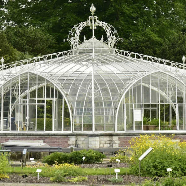 Busreise Brüssler Blumenteppich - Pflanzenpalast im botanischen Garten von Meise