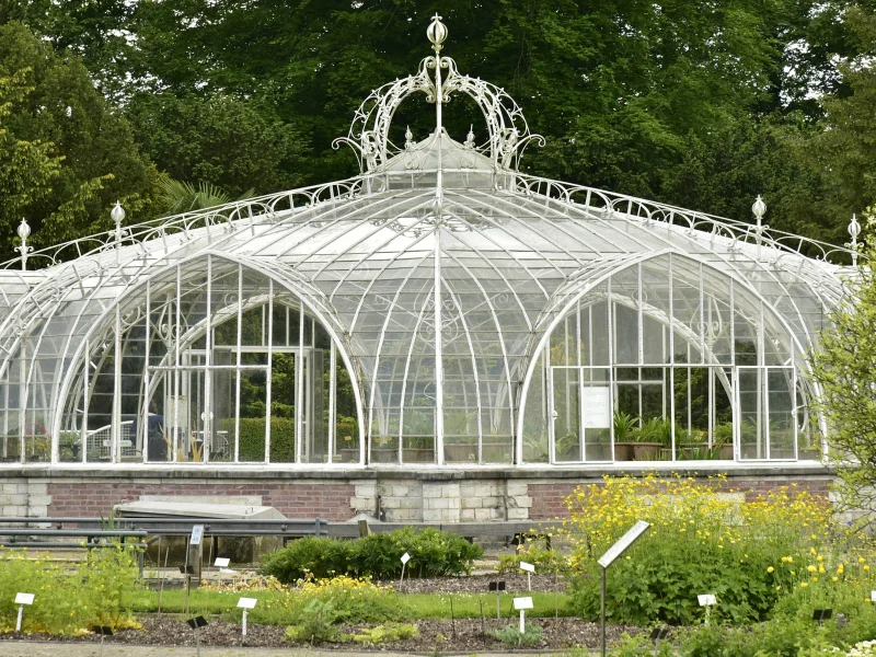 Busreise Brüssler Blumenteppich - Pflanzenpalast im botanischen Garten von Meise