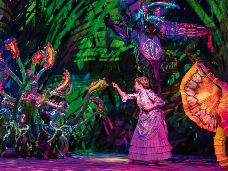 Busreise Musical Hamburg: Disneys TARZAN - Jane im Dschungel © Johan Persson