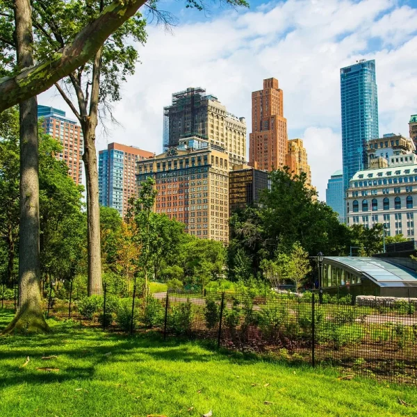 Städtereise: New York erleben