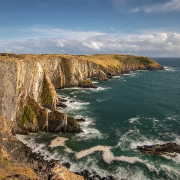 Flugreise Irische Träume: Kinsale