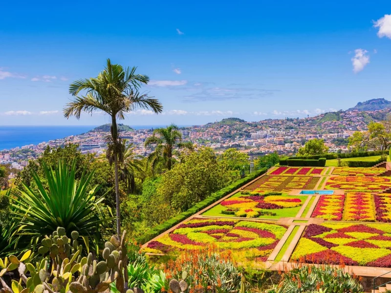 Madeira - Blumeninsel im Atlantik
