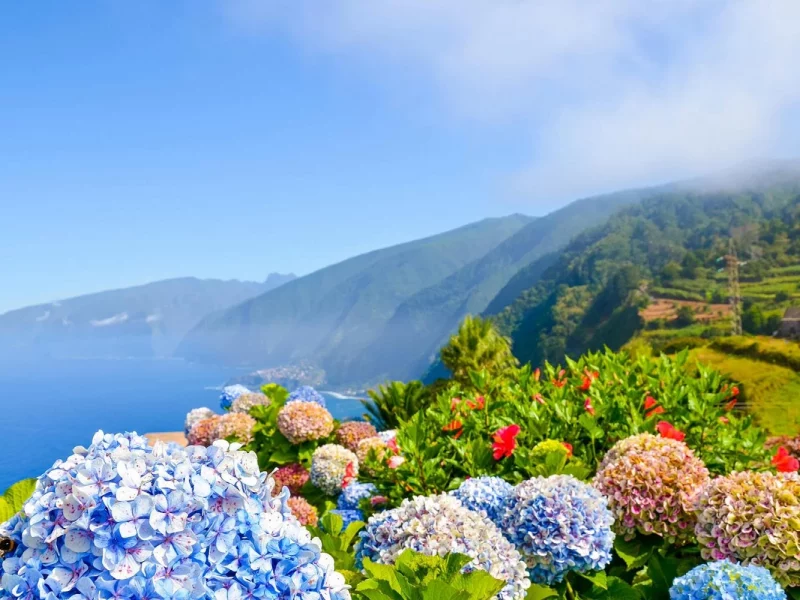 Madeira - Blumeninsel im Atlantik