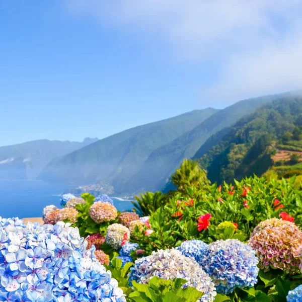 Wanderlebnis Madeira