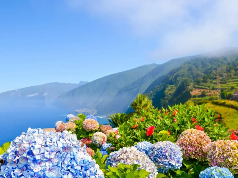 Wanderlebnis Madeira