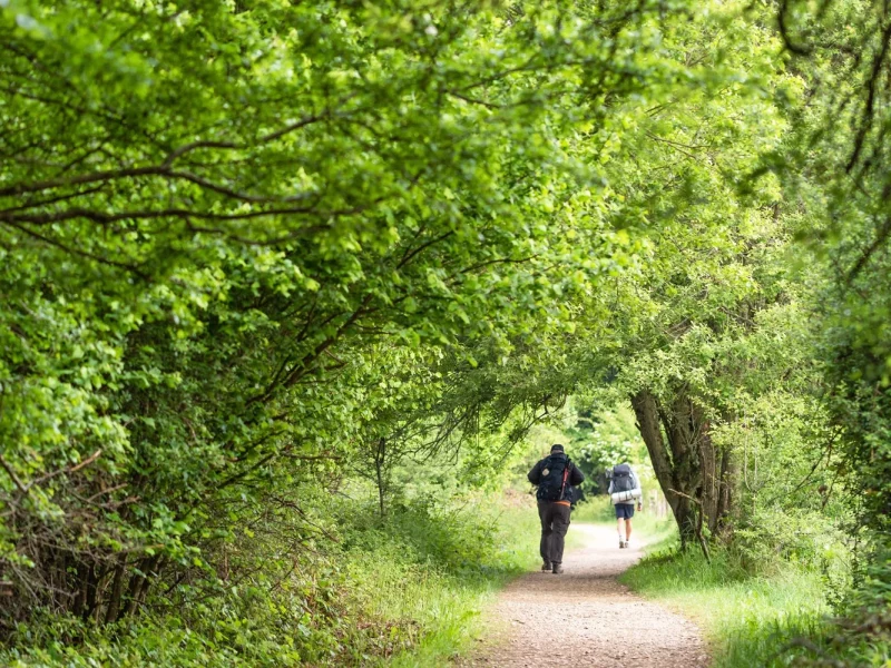 Wandern auf dem Jakobsweg