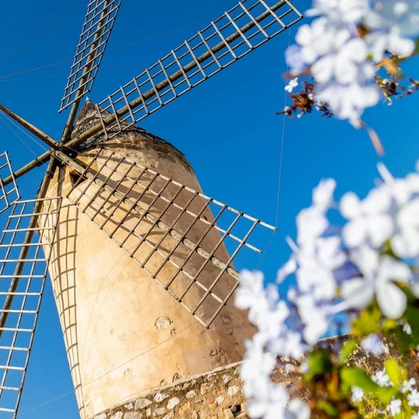Wanderreise Mallorca - Neue Wege entdecken