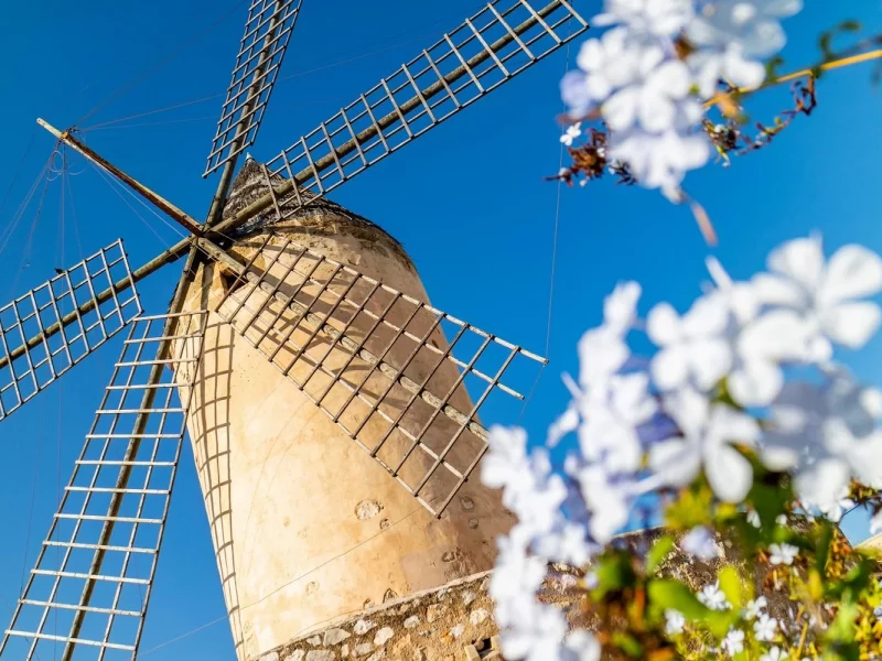 Wanderreise Mallorca - Neue Wege entdecken