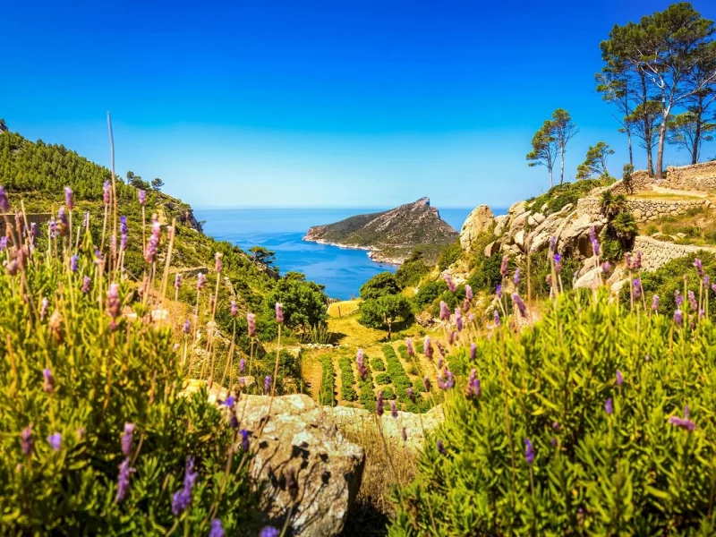 Wanderreise Mallorca - Neue Wege entdecken
