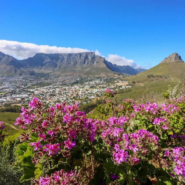 Gartensafari Südafrika