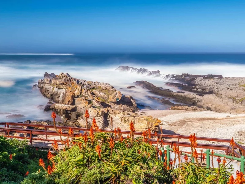 Gartensafari Südafrika