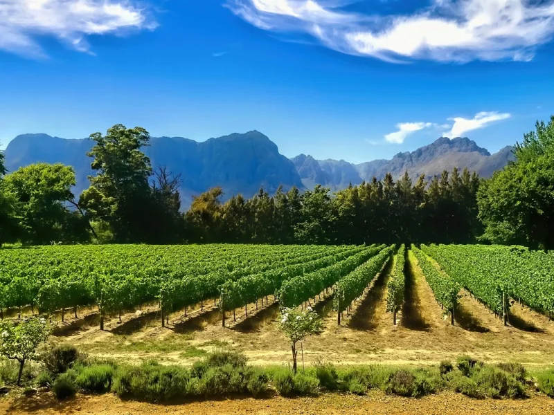 Gartensafari Südafrika