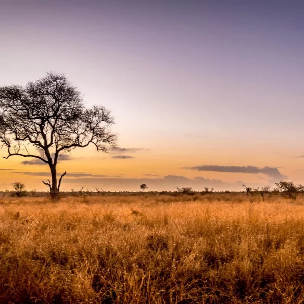 Gartensafari Südafrika
