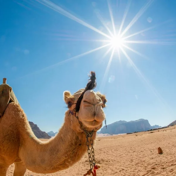 Flugreise Jordanien - Zauberwelt Lawrence von Arabien