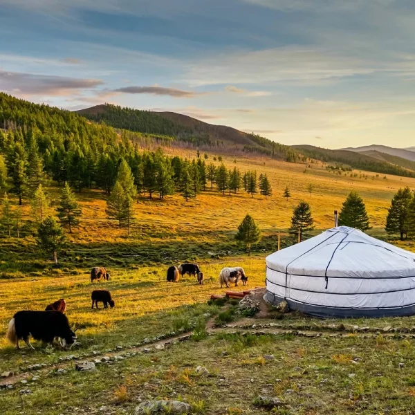 Rundreise durch die Mongolei