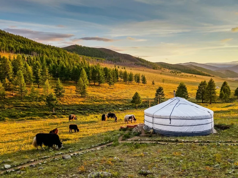 Rundreise durch die Mongolei