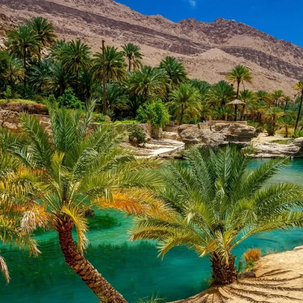 Reise durch den Märchenhaften Orient: Oman