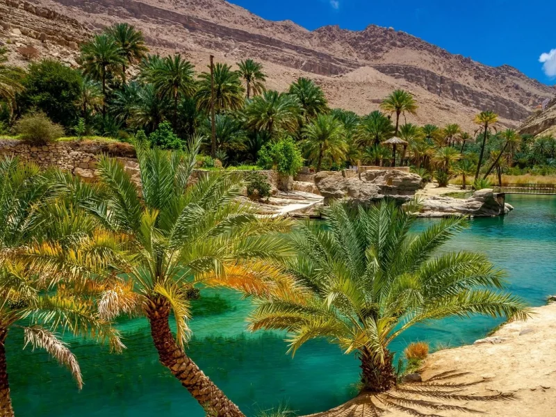 Reise durch den Märchenhaften Orient: Oman