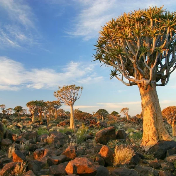 Rundreise Namibia