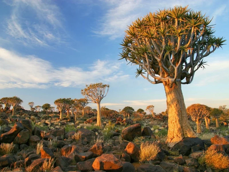 Rundreise Namibia