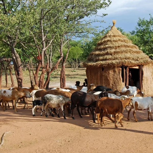 Rundreise Namibia