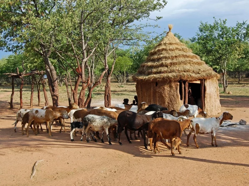 Rundreise Namibia